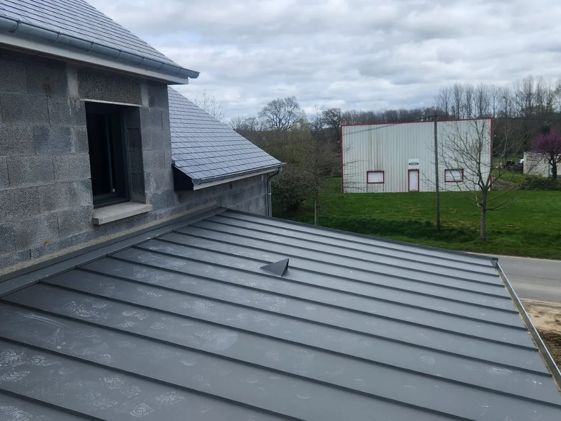 demoussage toiture jugon les lacs